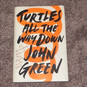 Turtles All the Way Down Hardcover